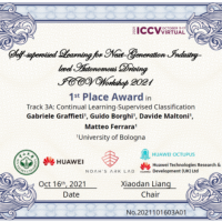 First prize in the continual object classification challenge – ICCV workshop